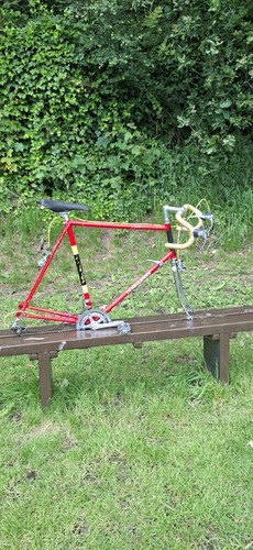 Raleigh europa 1982 - 1982,,