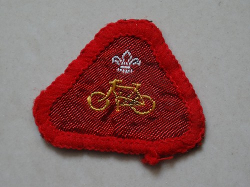 Cub scout proficiency - cub, proficiency/activity