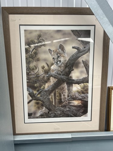 Limited edition print - print, a