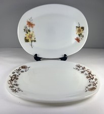 Pyrex JAJ - 2 x Oval Steak