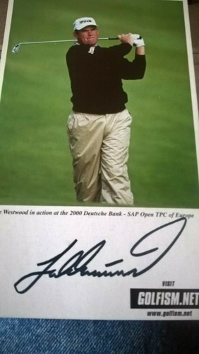 Lee westwood golfer - lee,