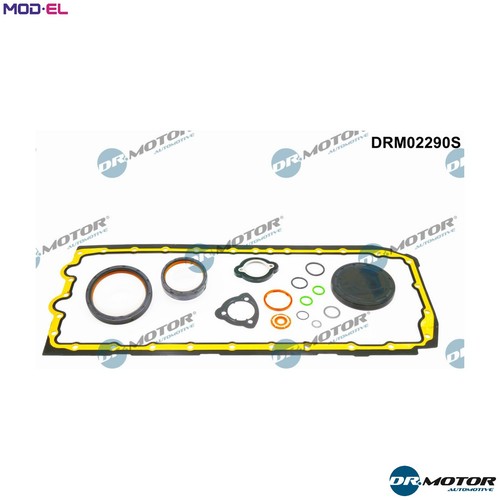Gasket kit crankcase drm02290s - gasket,