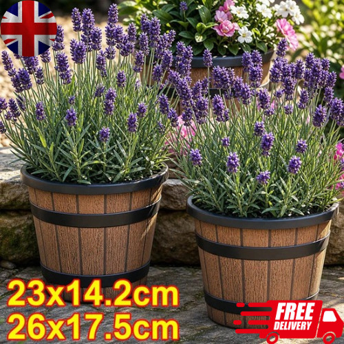Plant pot outdoor plastic - plant,