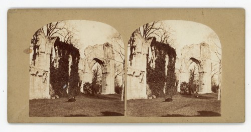 Stereoview stereoscope card - stereoscope,