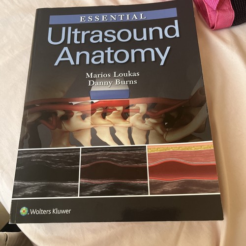 Ultrasound anatomy - ultrasound,