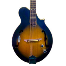 Levin Folk LM90FCE-VS Electro