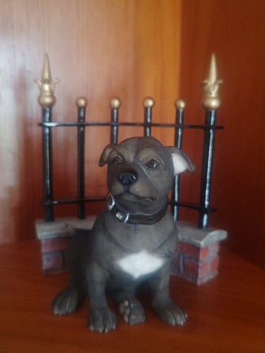 Staffordshire bull terrier - bull, dog