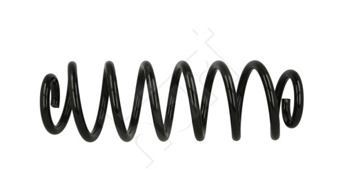 Rear suspension spring fits - spring,