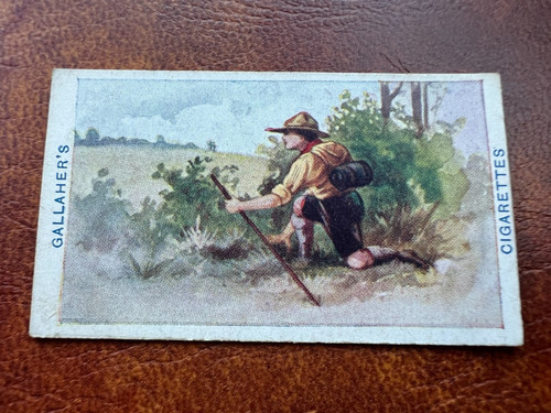 Gallaher cigarette card boy - gallaher,