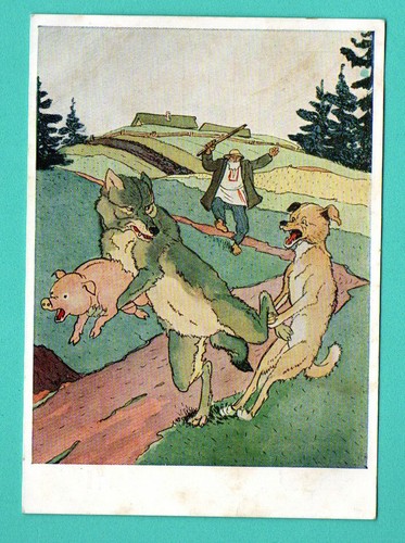 Russia russland dog - russia, wolf