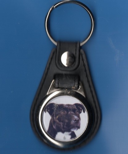 Dog keyring staffordshire - keyring, bull