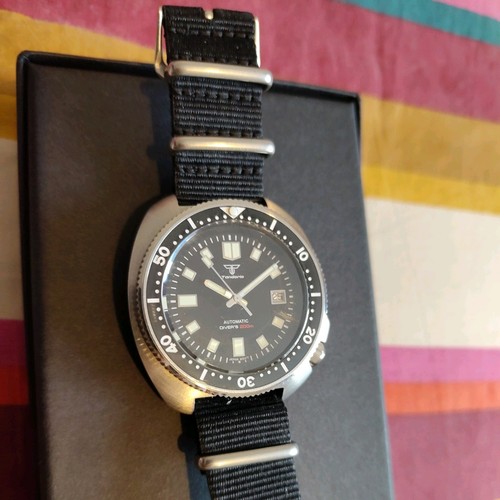 Tandorio willard turtle homage - willard,