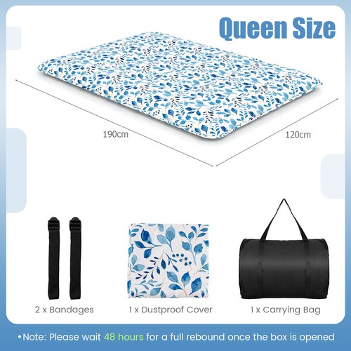 Floor mattress futon - mattress,