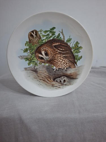 Vintage poole potter plate - poole,