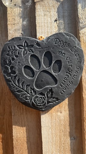 Dogs leave paw - dogs,