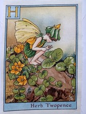 H - HERB TWOPENCE - Alphabet