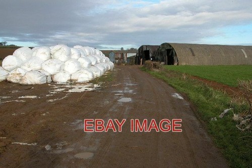 Photo silage bales - photo,
