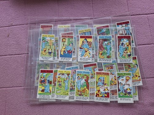 Complete set primrose - set,