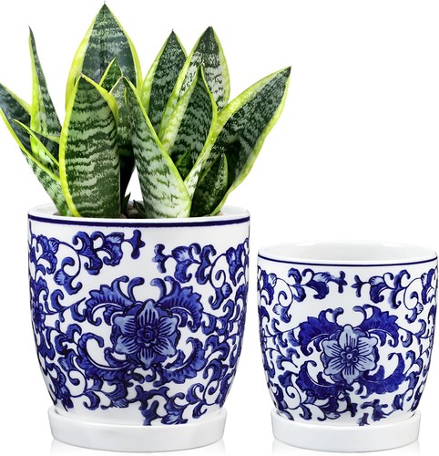 Set blue and white - of,
