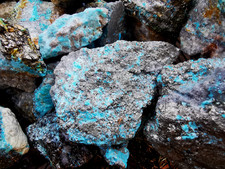 500 Grams Lots Natural Persian