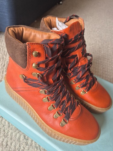 Shoe the bear - bear, agda