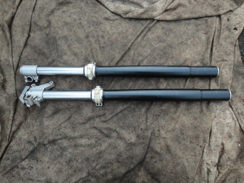 Lexmoto lsm 2013 front - 2013,