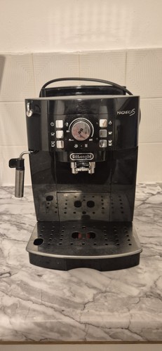 Longhi magnifica s - magnifica,