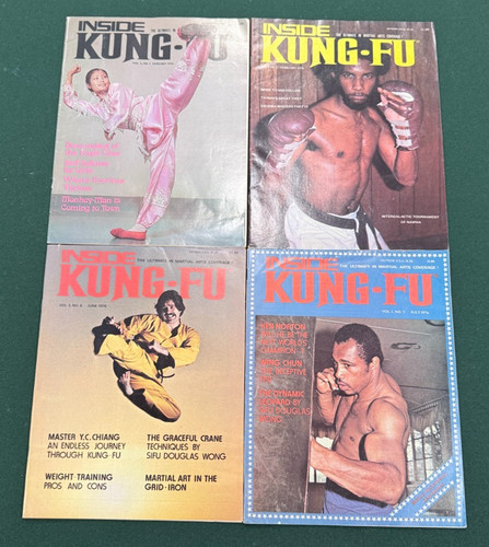 Lot inside kung magazines - lot,