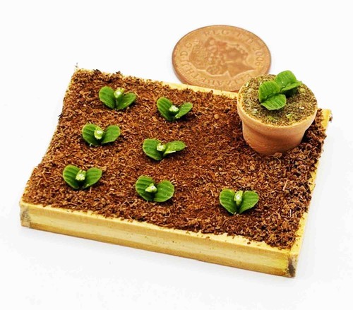 Dolls house garden vegetable - dolls,