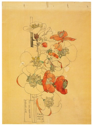 Japonica charles rennie - japonica,,
