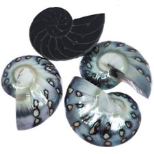 Genuine Komma Blue Polish