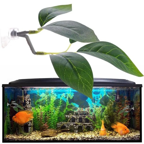 1pc betta fish leaf - betta,