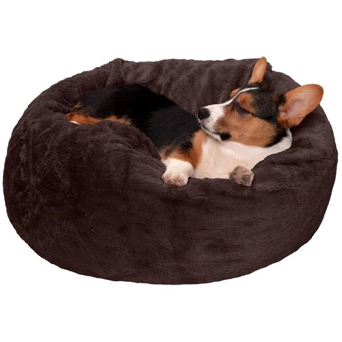 Cozy burrowing pet - burrowing,
