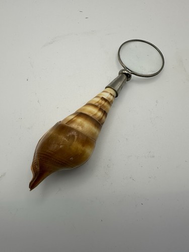 Vintage sea shell - sea, handled