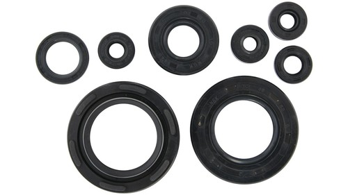 Motor shaft seal set - seal,