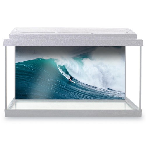 Fish tank background surfing - fish,