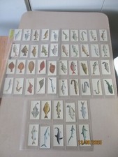 Carreras Black Cat Sport Fish 1978 Full set of 50 cards in plastic sleeves