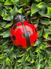 1 NEW  LARGE LADYBIRD