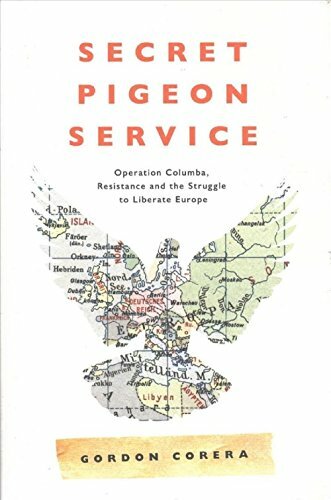 Secret pigeon service - pigeon,