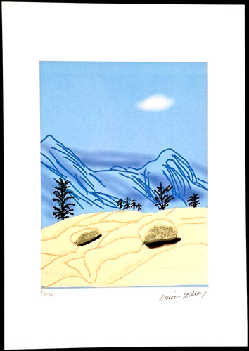 David hockney 50x35cm - david,