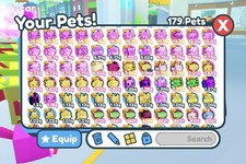 Pet simulator - pet,