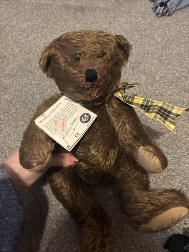 Canterbury bear morgan - canterbury, ‘morgan’