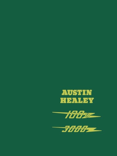 Austin healey 100 - healey, 3000