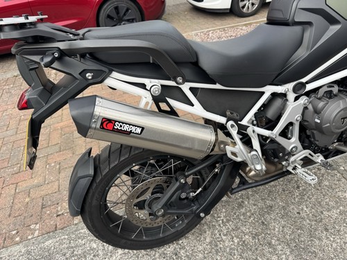 Scorpion triumph tiger - scorpion,
