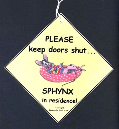 Sphynx cat residence - in,