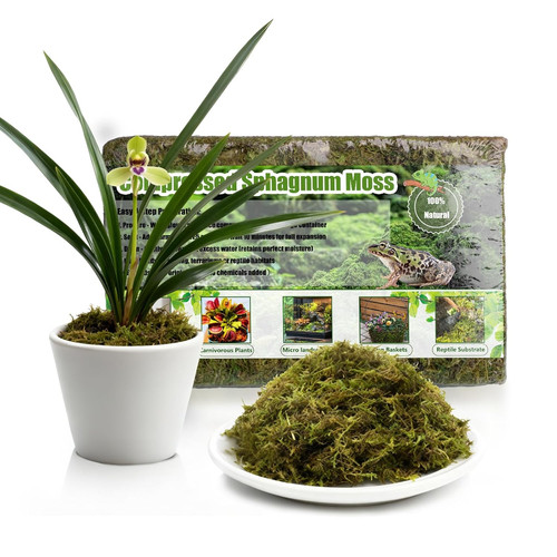 Premium sphagnum moss - moss,, 150g