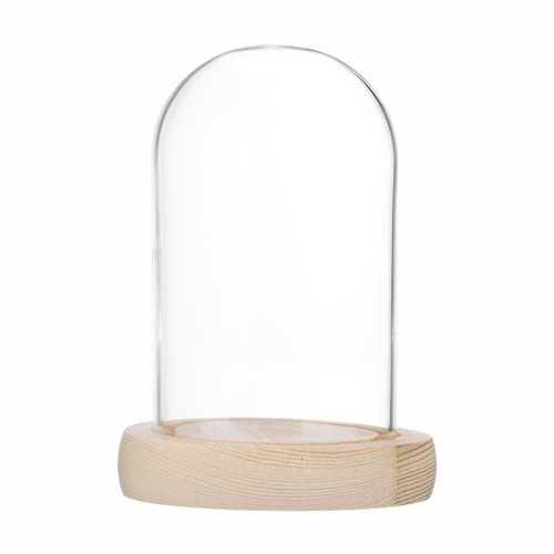 Cloche glass dome - glass, dome,