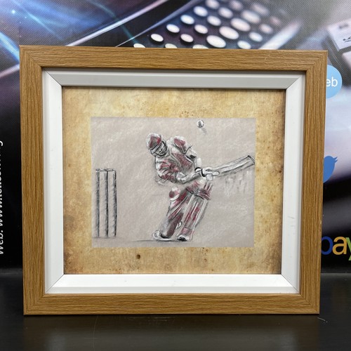 Cricket batsman striking ball - batsman,