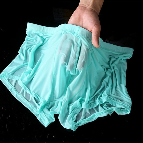 Mens sexy sheer see through - sheer, see-through