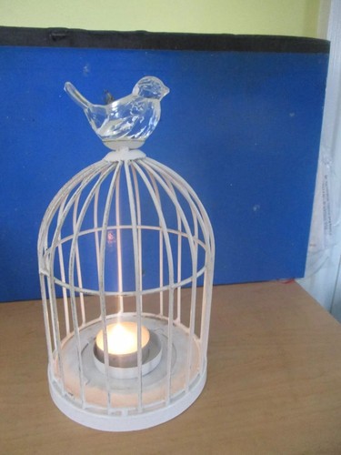 Bird cage tea - cage,